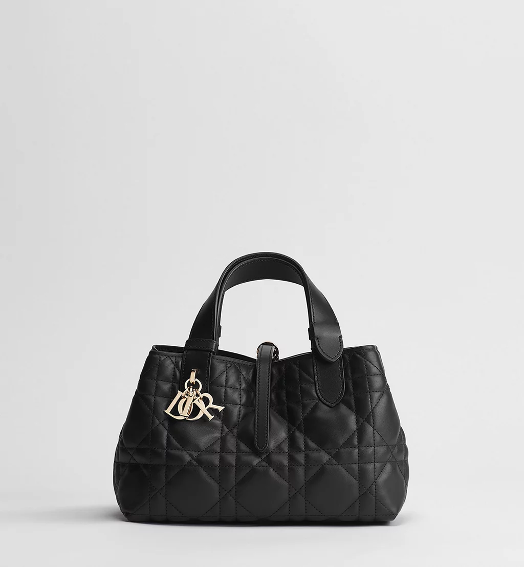 DIOR Toujours Small-sized Black Calfskin Women's Handbag - 图片 3