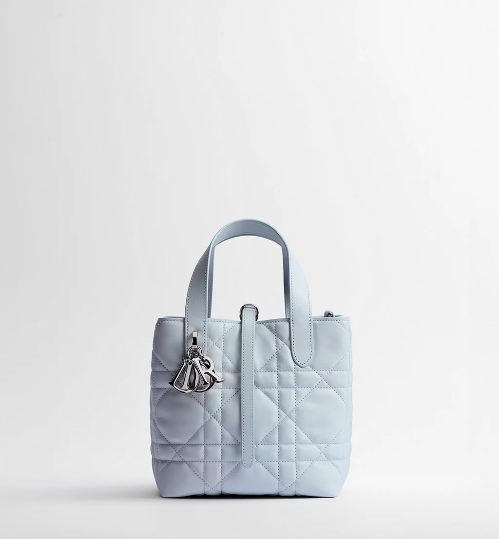 DIOR Toujours