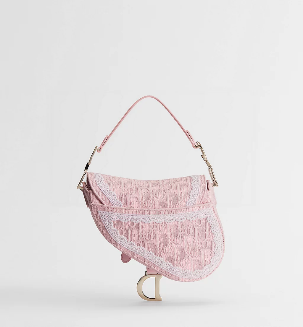 Dior Saddle - 图片 10