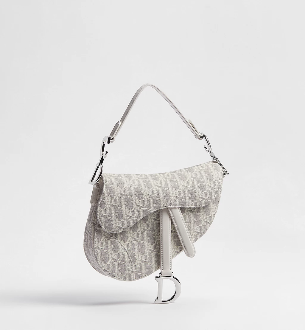 Dior Saddle - 图片 12